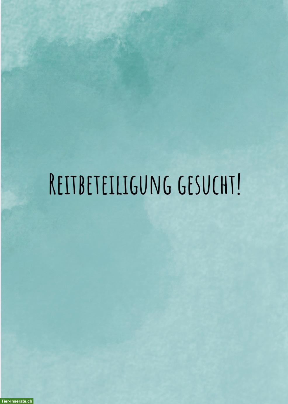 Reitbeteiligung gesucht in Langenthal oder naher Umgebung