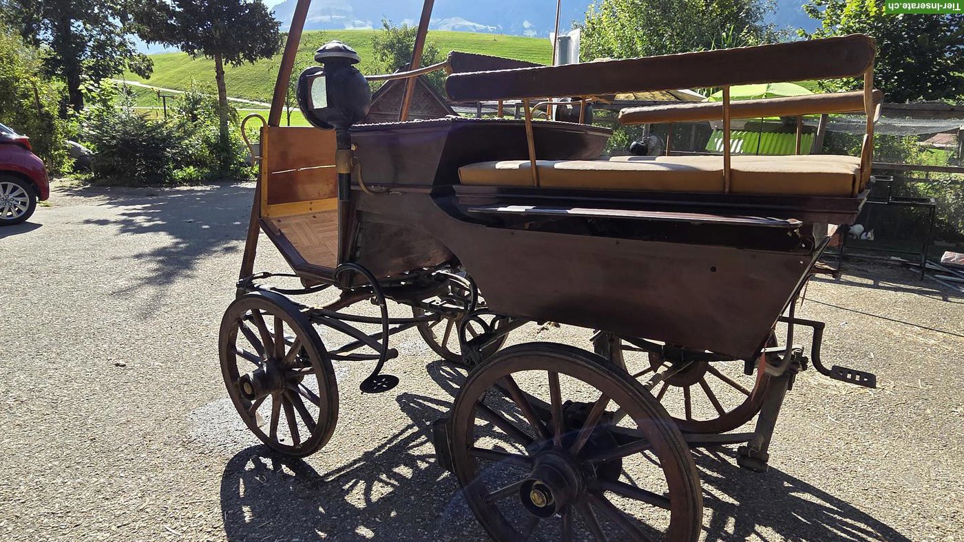Bild 2: Pferdekutsche zu verkaufen