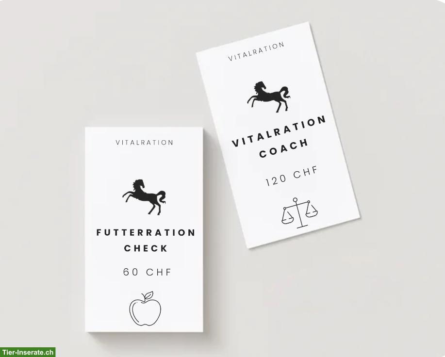 Vitalcoach für Pferd und Pony