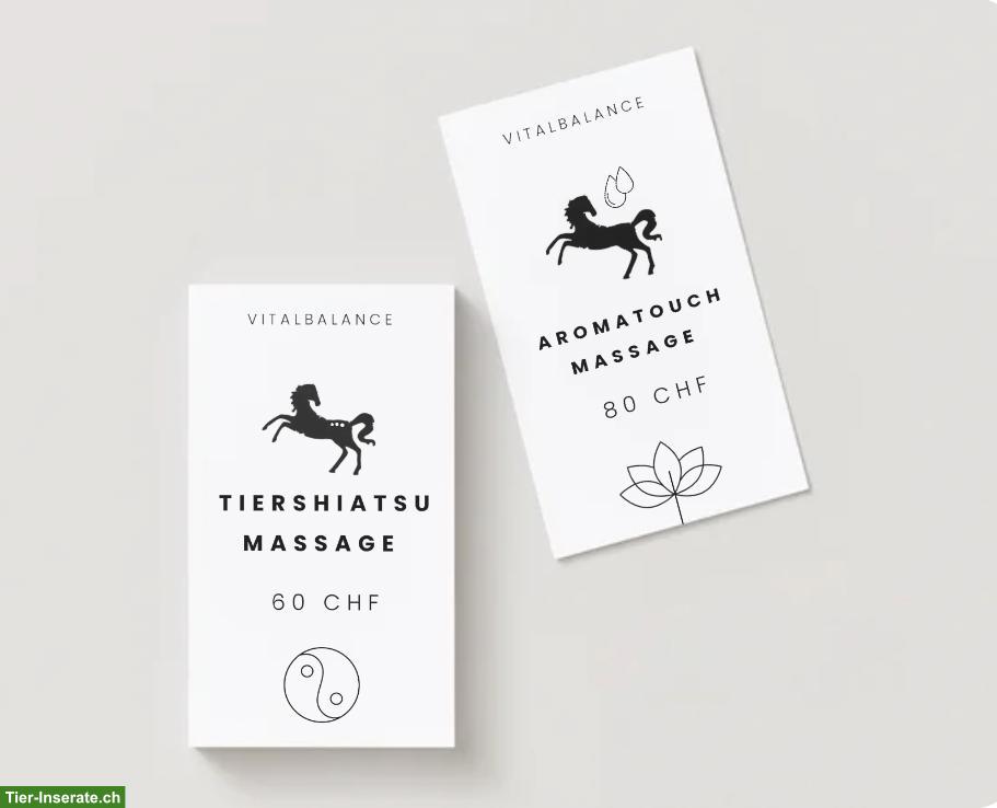 Bild 2: Vitalcoach für Pferd und Pony