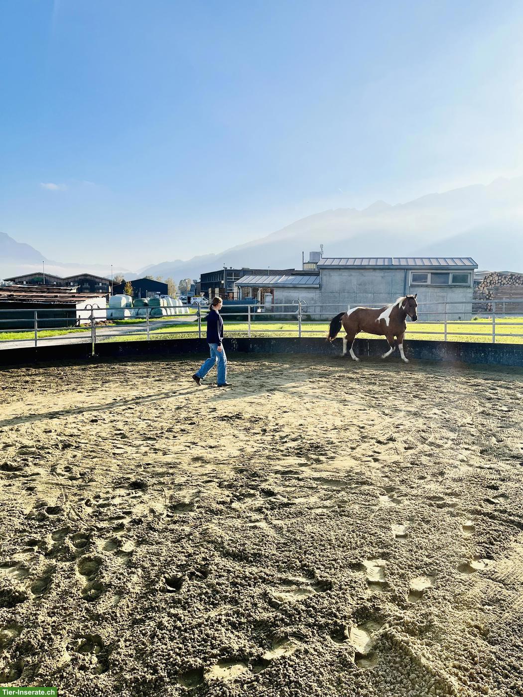 Bild 4: Freie Pferde-Pensionsplätze auf der AH Ranch in Gams SG