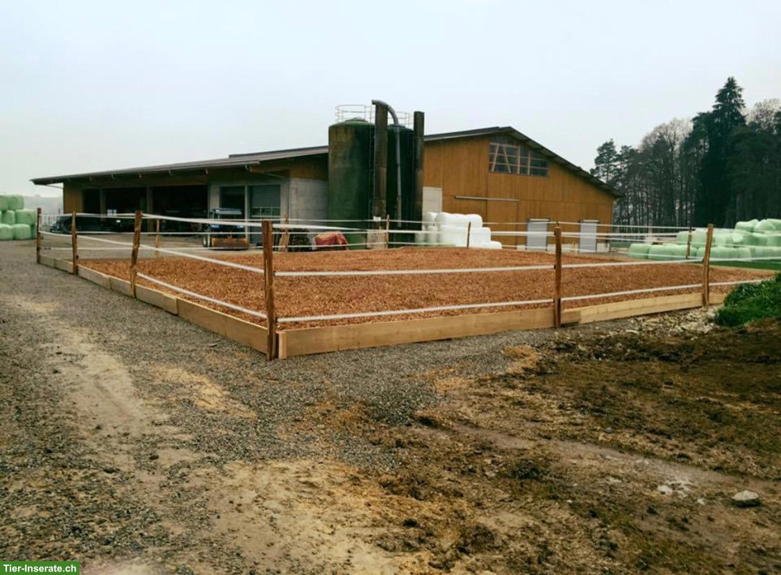 Bild 3: Pferdebox für Selbstversorger in Schupfart zu vermieten