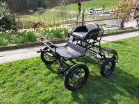 Neue leichte Shetty Kutsche zu verkaufen