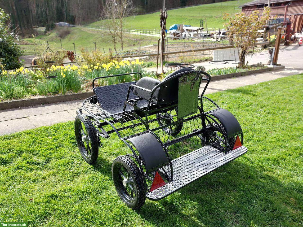 Bild 3: Neue leichte Shetty Kutsche zu verkaufen