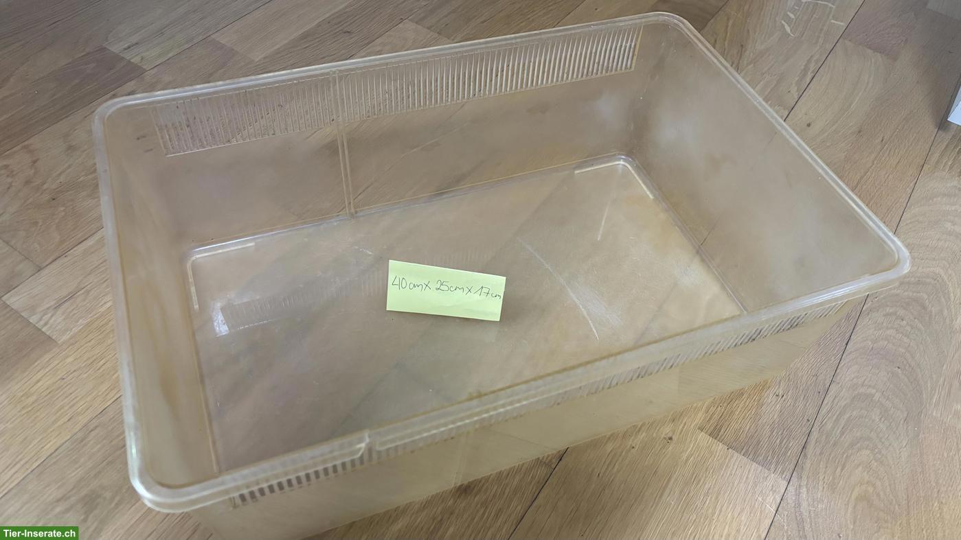 Bild 5: Grosses Glasterrarium mit Zuberhör (Reptilien, Landschildkröten)