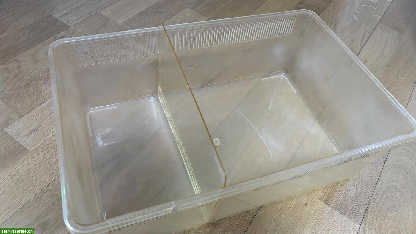 Bild 6: Grosses Glasterrarium mit Zuberhör (Reptilien, Landschildkröten)