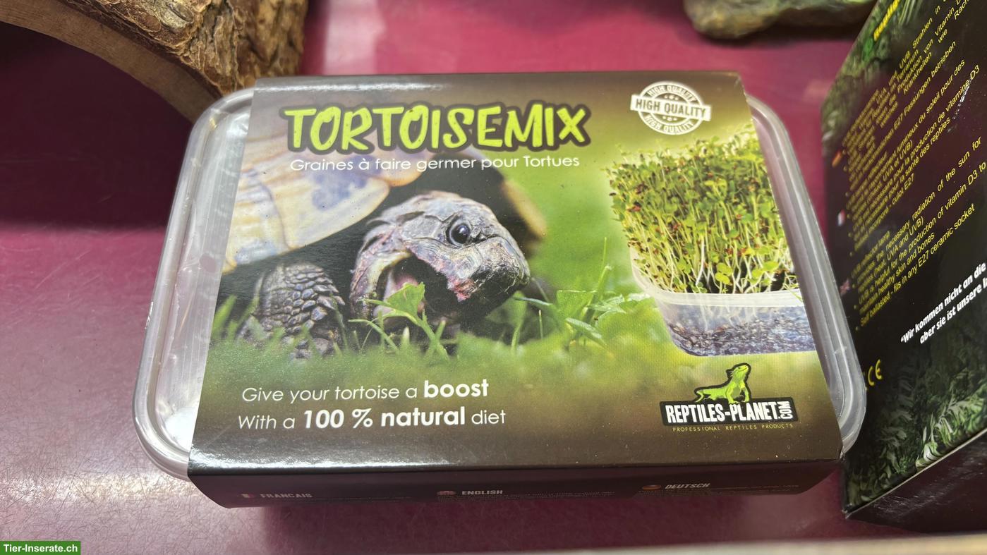 Bild 9: Grosses Glasterrarium mit Zuberhör (Reptilien, Landschildkröten)