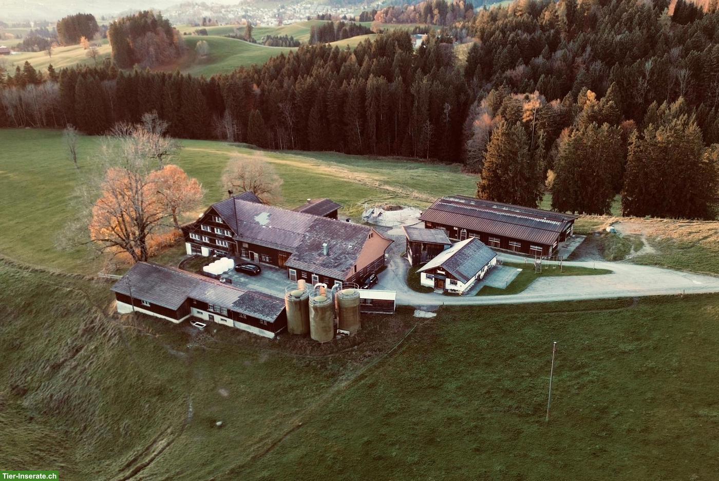 2 Pferdeboxen ab September Region Appenzell AR