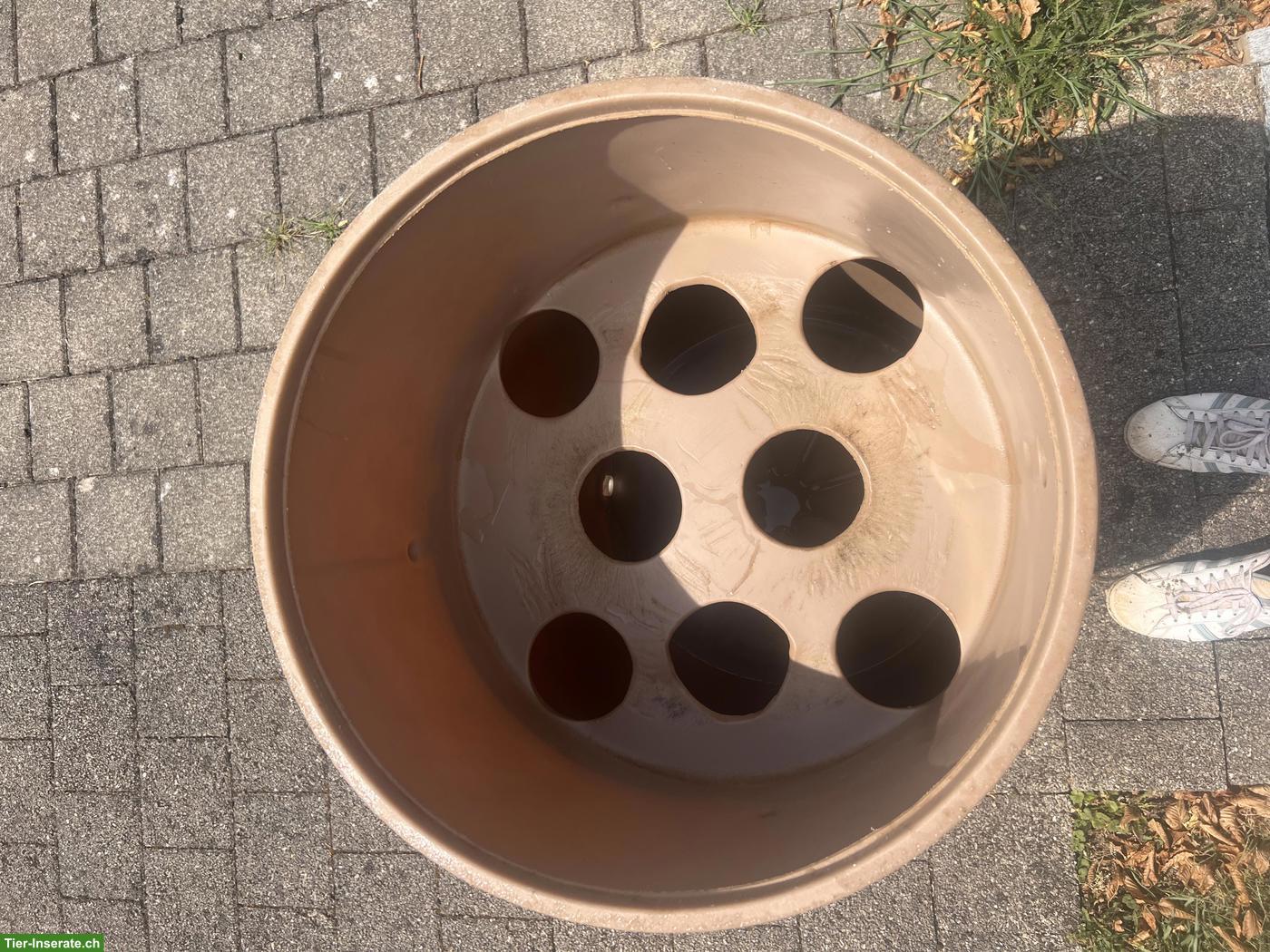 Bild 3: Porta Grazer XXL / Corner Feeder zu verkaufen