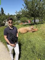 Biete zuverlässige Unterstützung für Hof, Tiere und Acker - 20%