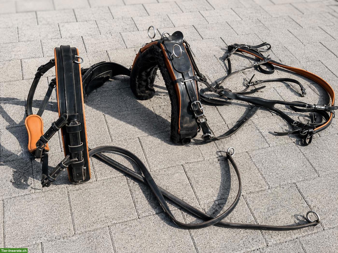 Bild 3: 🐴 Komplettes Einspänner-Fahrgeschirr "Import Diplomat", Grösse Cob
