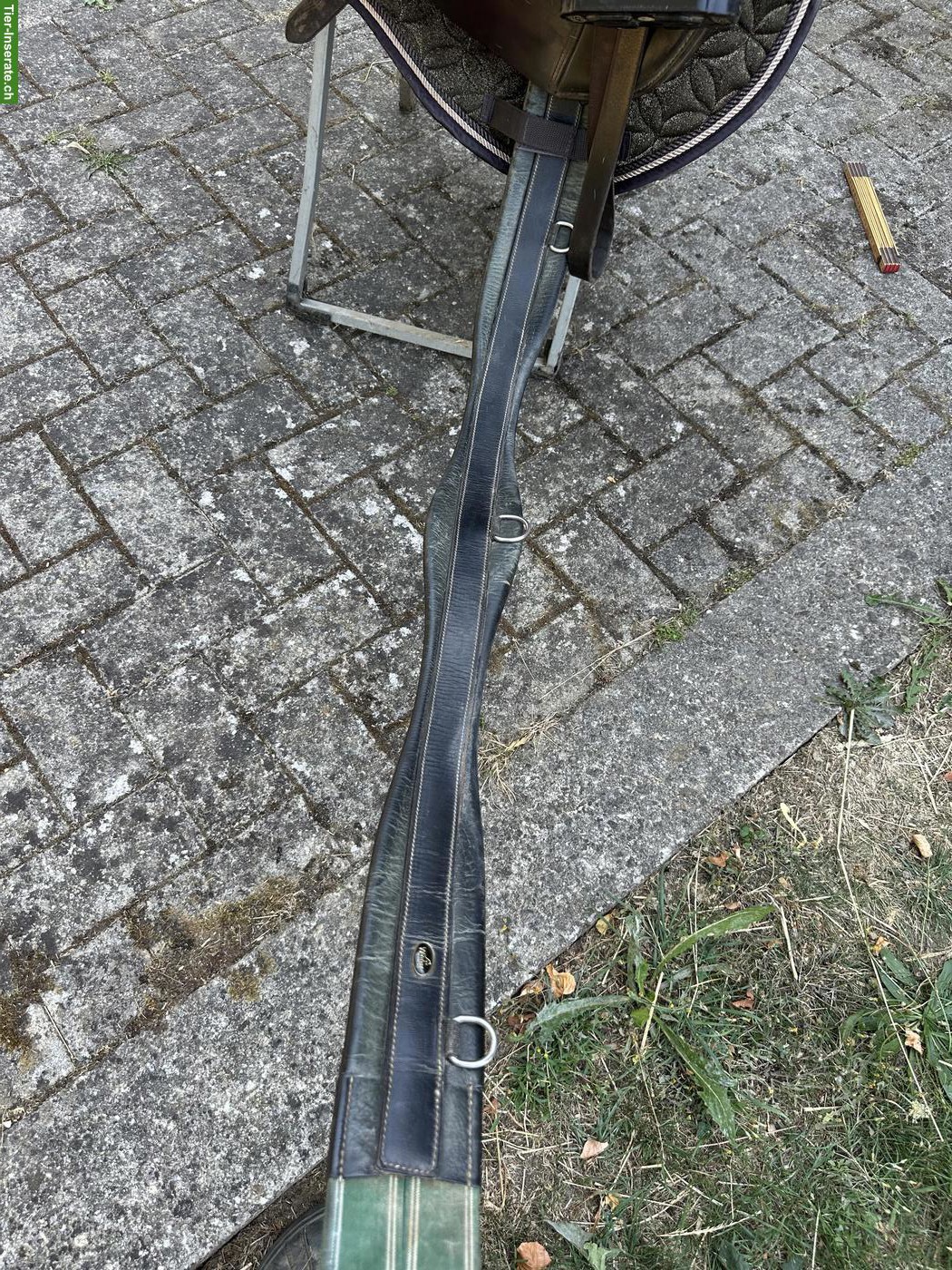 Bild 5: VSD Sattel LaBelle inkl. Zubehör günstig abzugeben