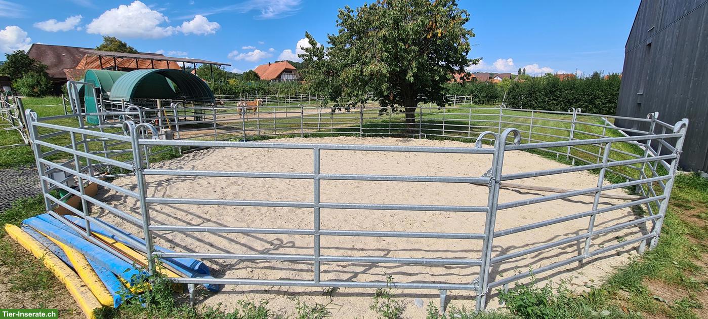 Bild 5: Pferdebox zu vermieten in Epsach BE