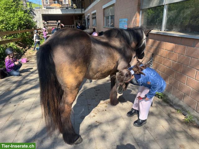 Pony Club Udligenswil LU