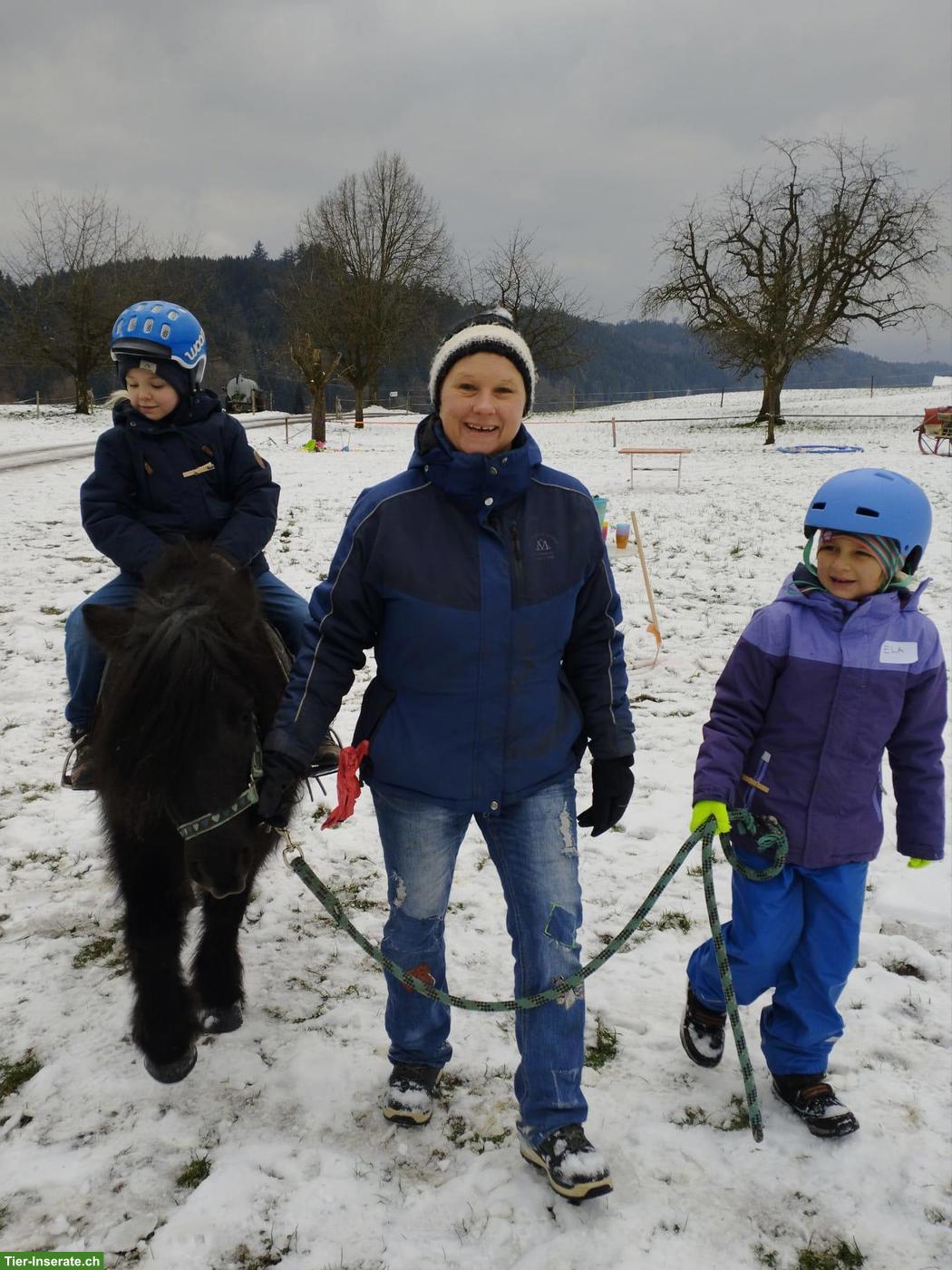 Bild 4: Pony Club Udligenswil LU