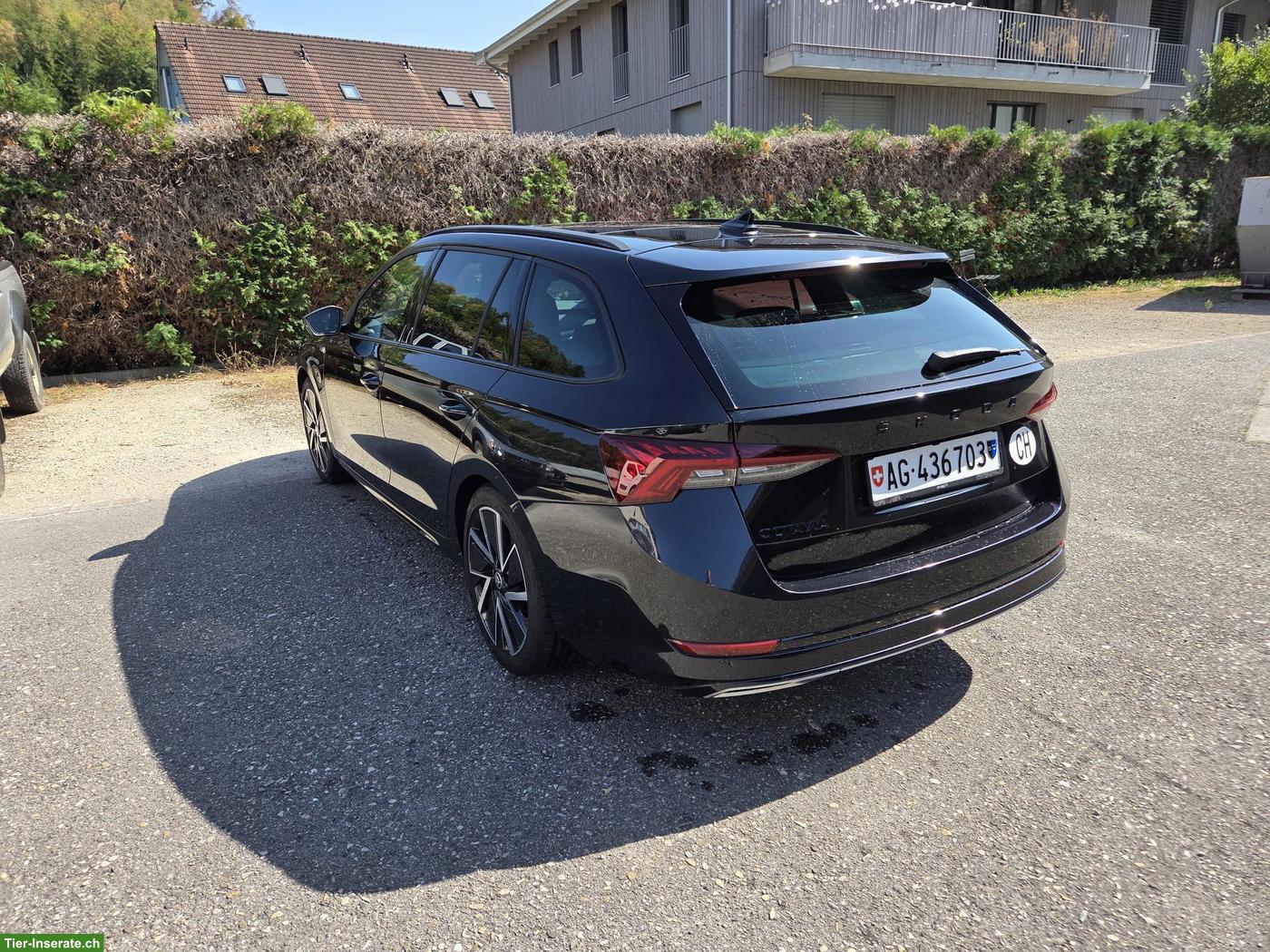 Bild 3: Skoda Octavia 2.0 TSI 4X4 Sport Line mit Panoramadach zu verkaufen