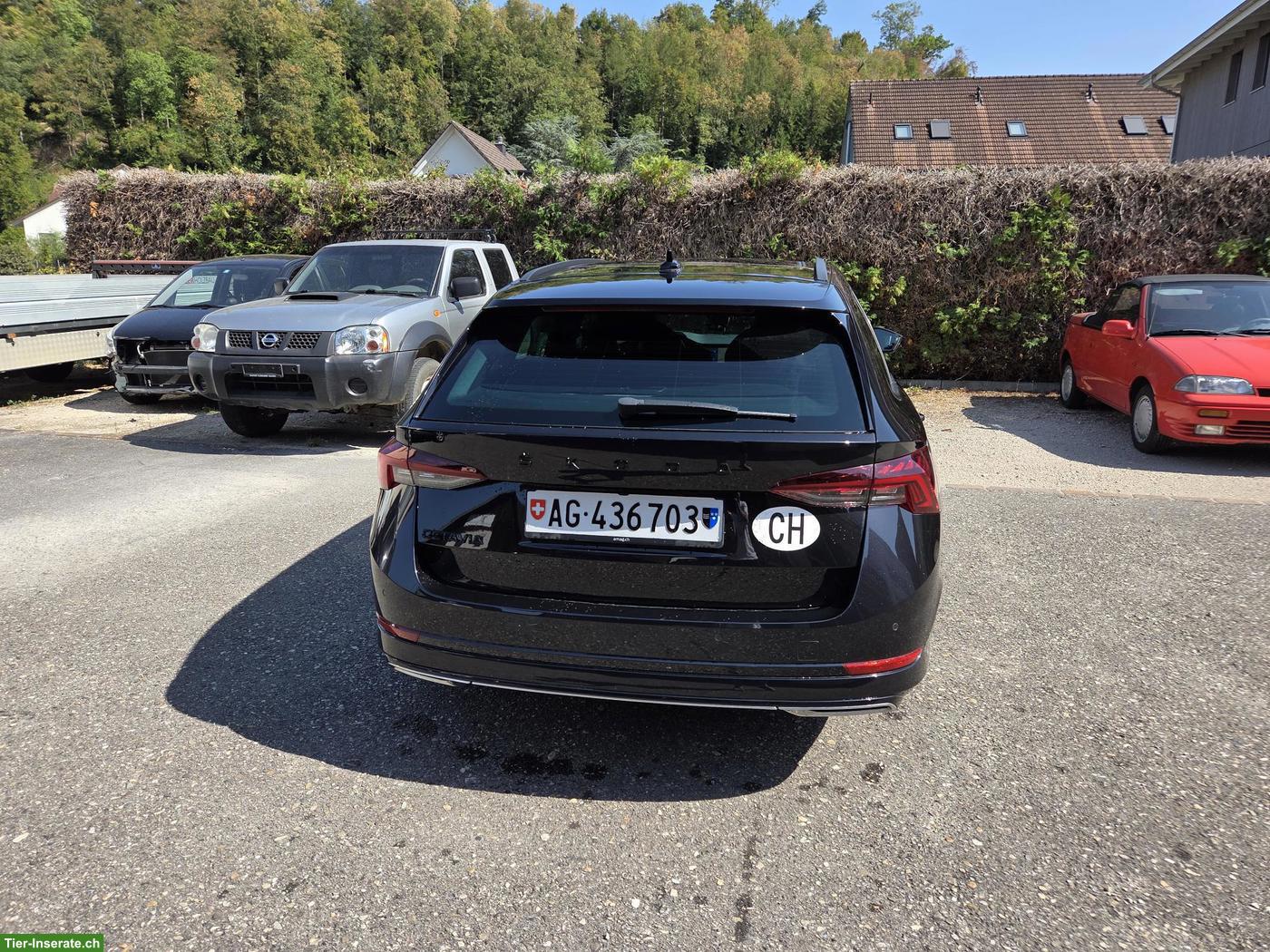 Bild 4: Skoda Octavia 2.0 TSI 4X4 Sport Line mit Panoramadach zu verkaufen