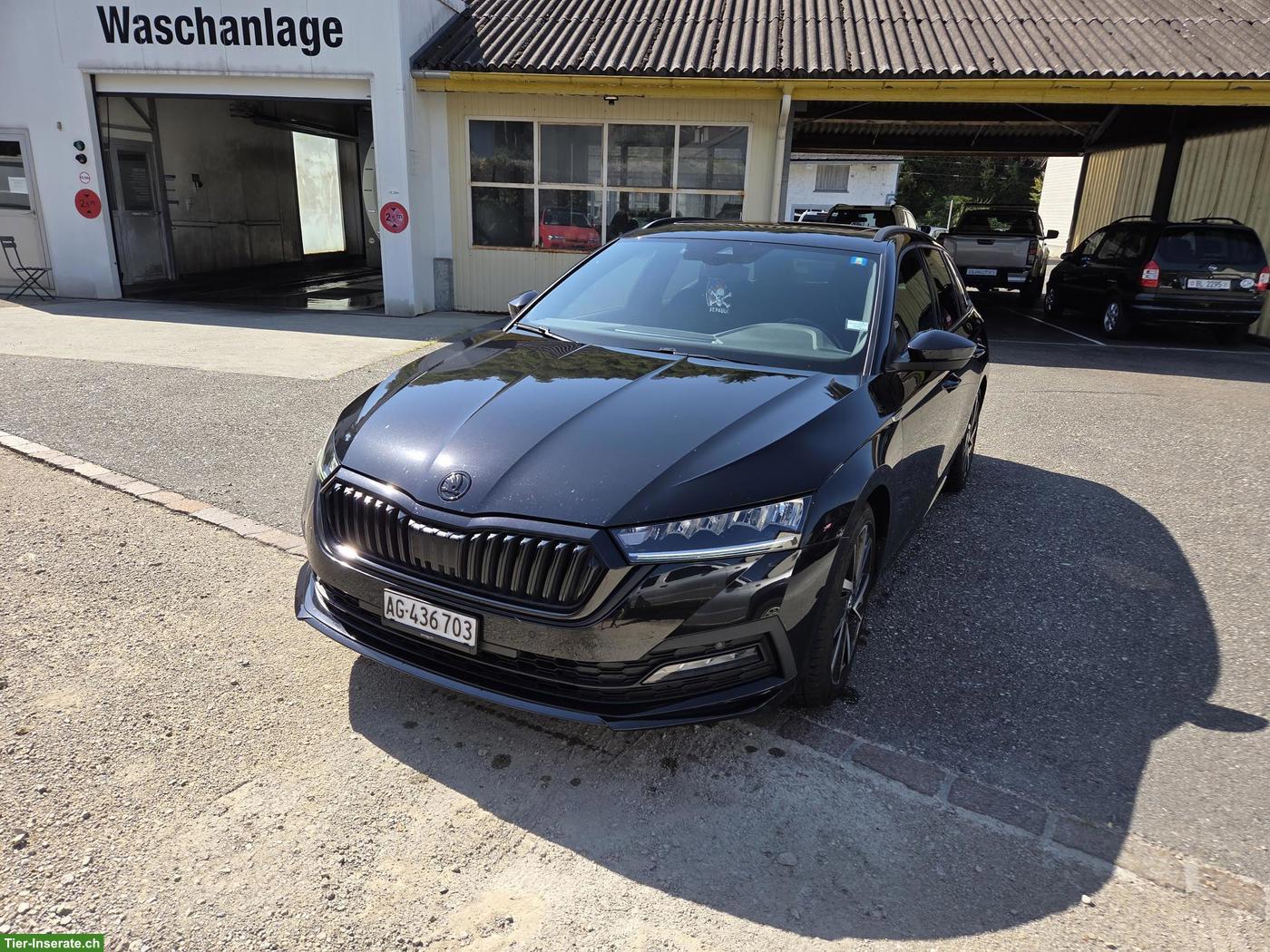 Bild 5: Skoda Octavia 2.0 TSI 4X4 Sport Line mit Panoramadach zu verkaufen