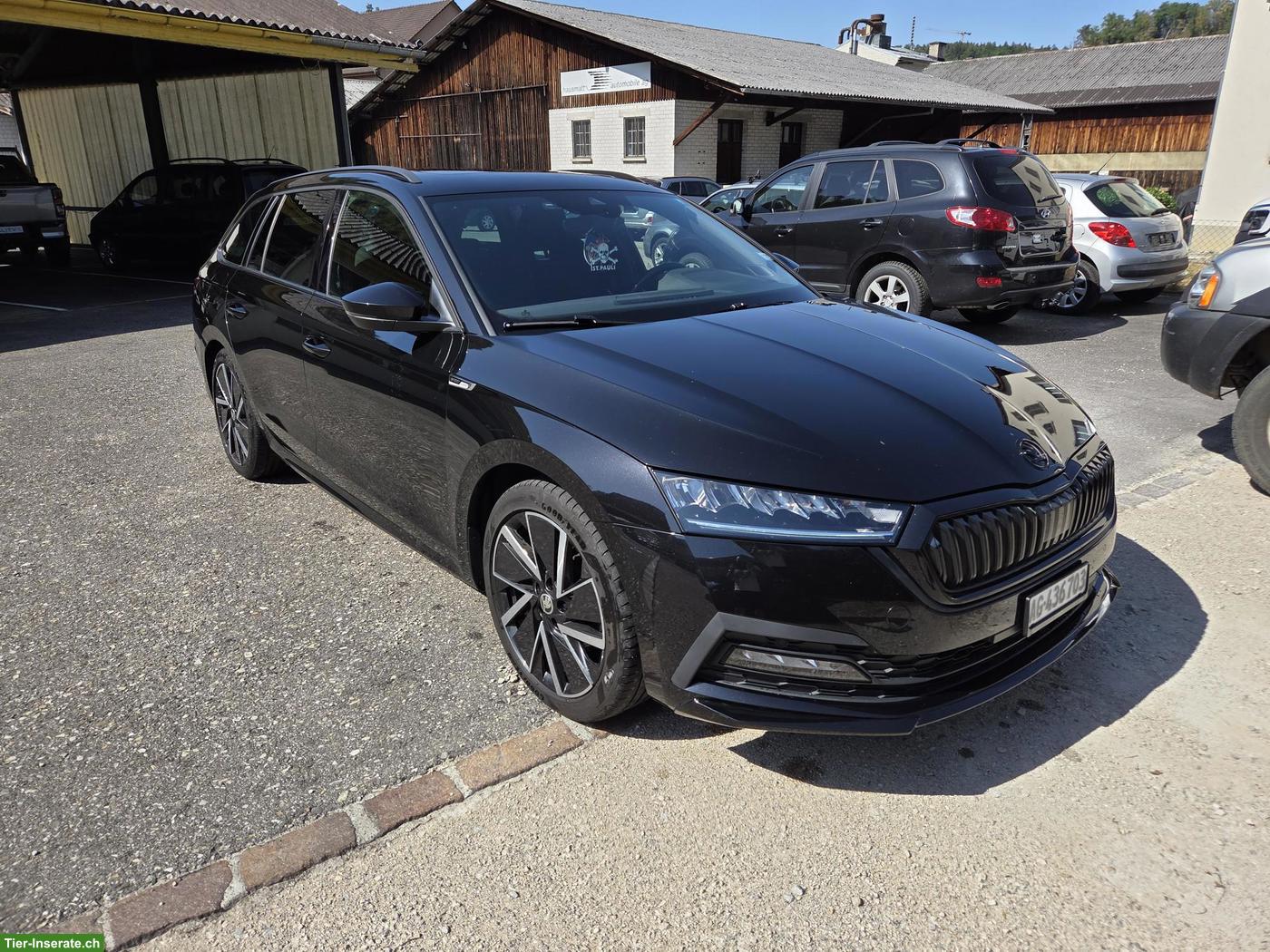 Bild 6: Skoda Octavia 2.0 TSI 4X4 Sport Line mit Panoramadach zu verkaufen