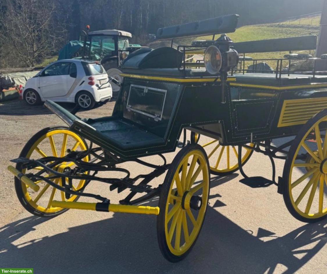 Bild 2: Occasion Jagdwagen zu verkaufen