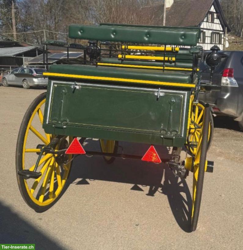 Bild 3: Occasion Jagdwagen zu verkaufen