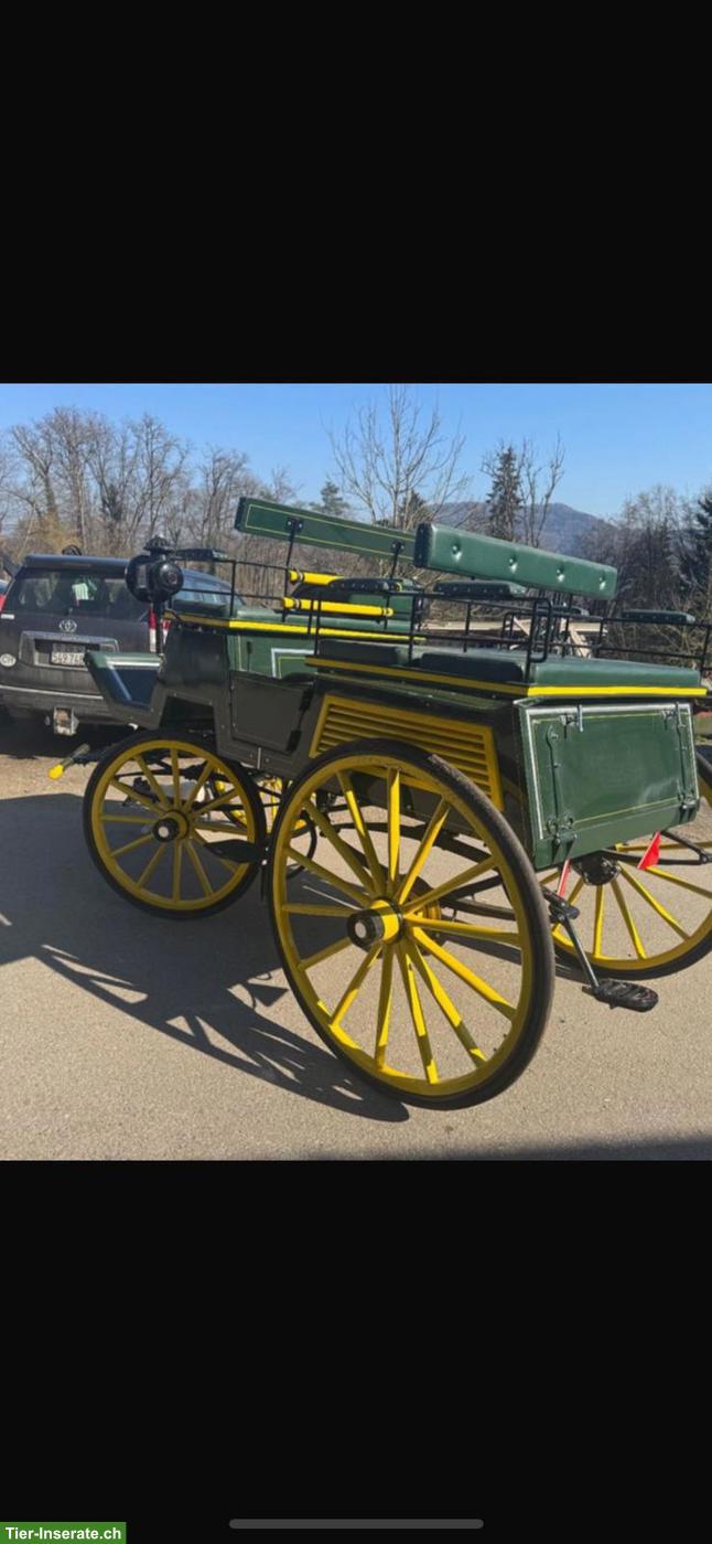 Bild 4: Occasion Jagdwagen zu verkaufen