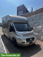 Pferdetransport/Selbstfahrer Fiat Ducato