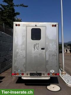 Bild 2: Pferdetransport/Selbstfahrer Fiat Ducato