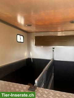 Bild 4: Pferdetransport/Selbstfahrer Fiat Ducato