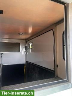 Bild 5: Pferdetransport/Selbstfahrer Fiat Ducato