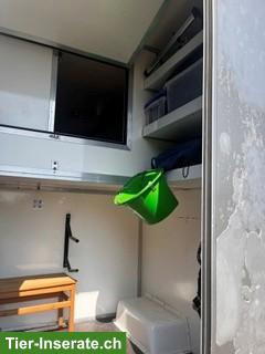 Bild 6: Pferdetransport/Selbstfahrer Fiat Ducato