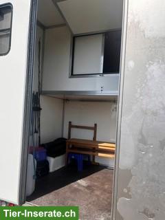 Bild 7: Pferdetransport/Selbstfahrer Fiat Ducato