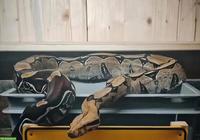 0.1 Boa constrictor constrictor Surinam, H&E Stöckl Line