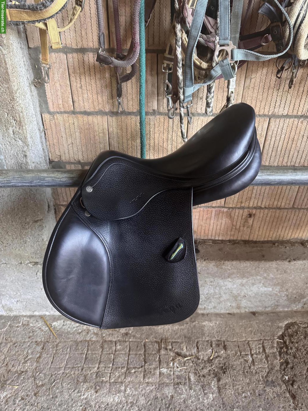 Amerigo Vega Springsattel 16 Zoll zu verkaufen