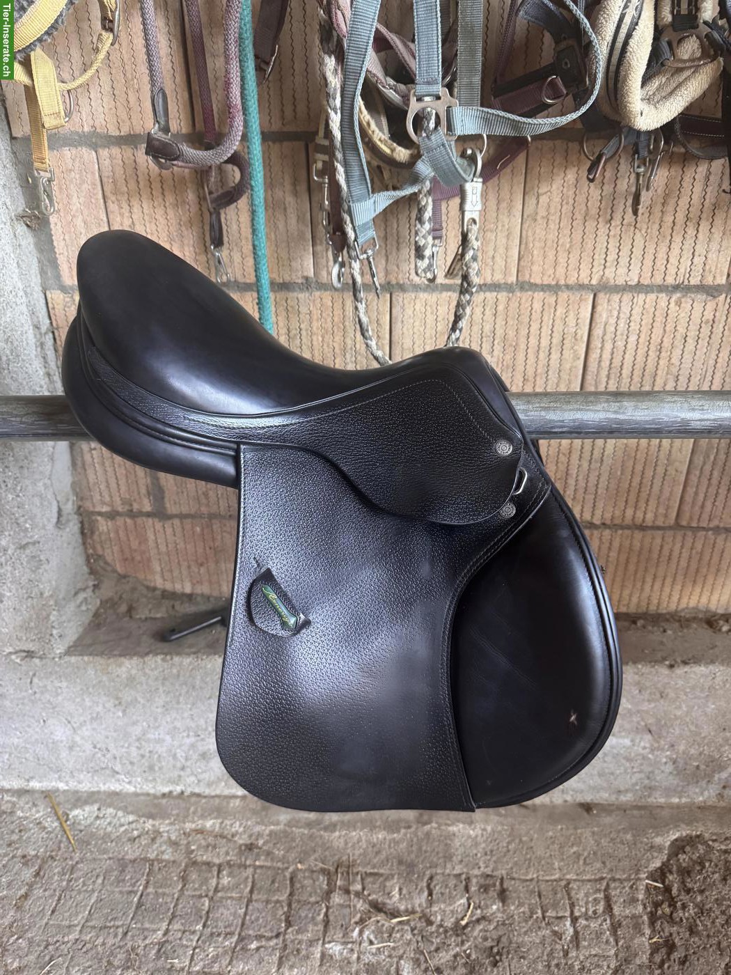 Bild 3: Amerigo Vega Springsattel 16 Zoll zu verkaufen