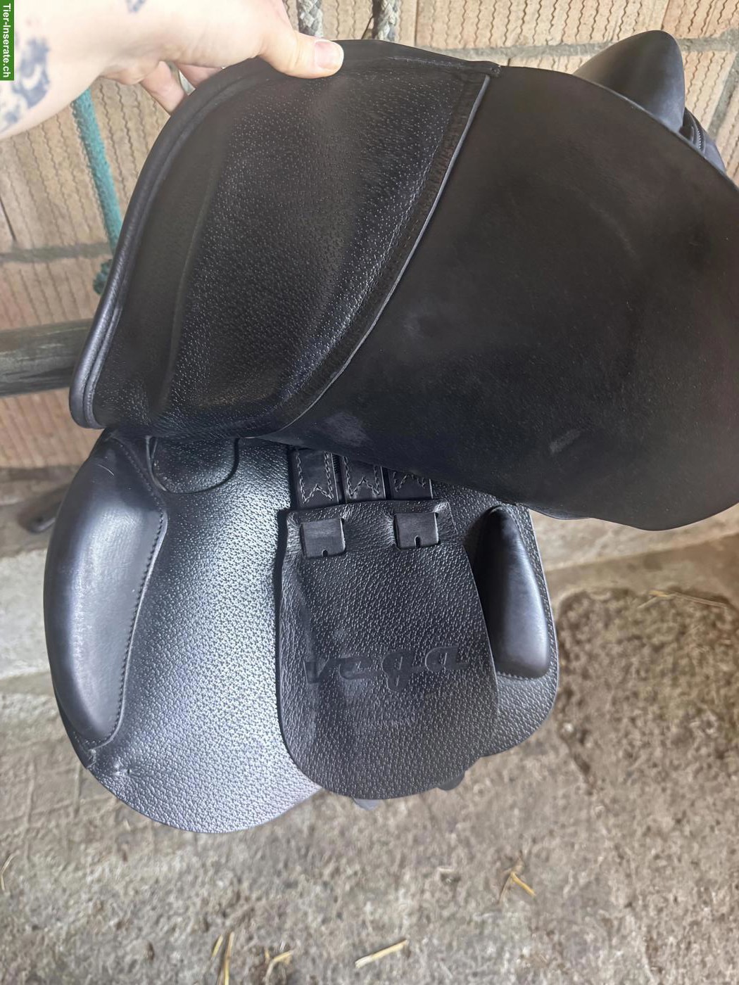 Bild 5: Amerigo Vega Springsattel 16 Zoll zu verkaufen