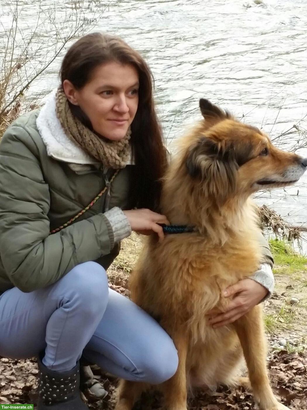 Tierbetreuung bei Ihnen zu Hause