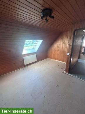 Bild 4: Zweifamilienhaus mit Pferdestallungen im Luzerner Seetal