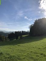 Stallteil mit Weide in Schlossrued AG