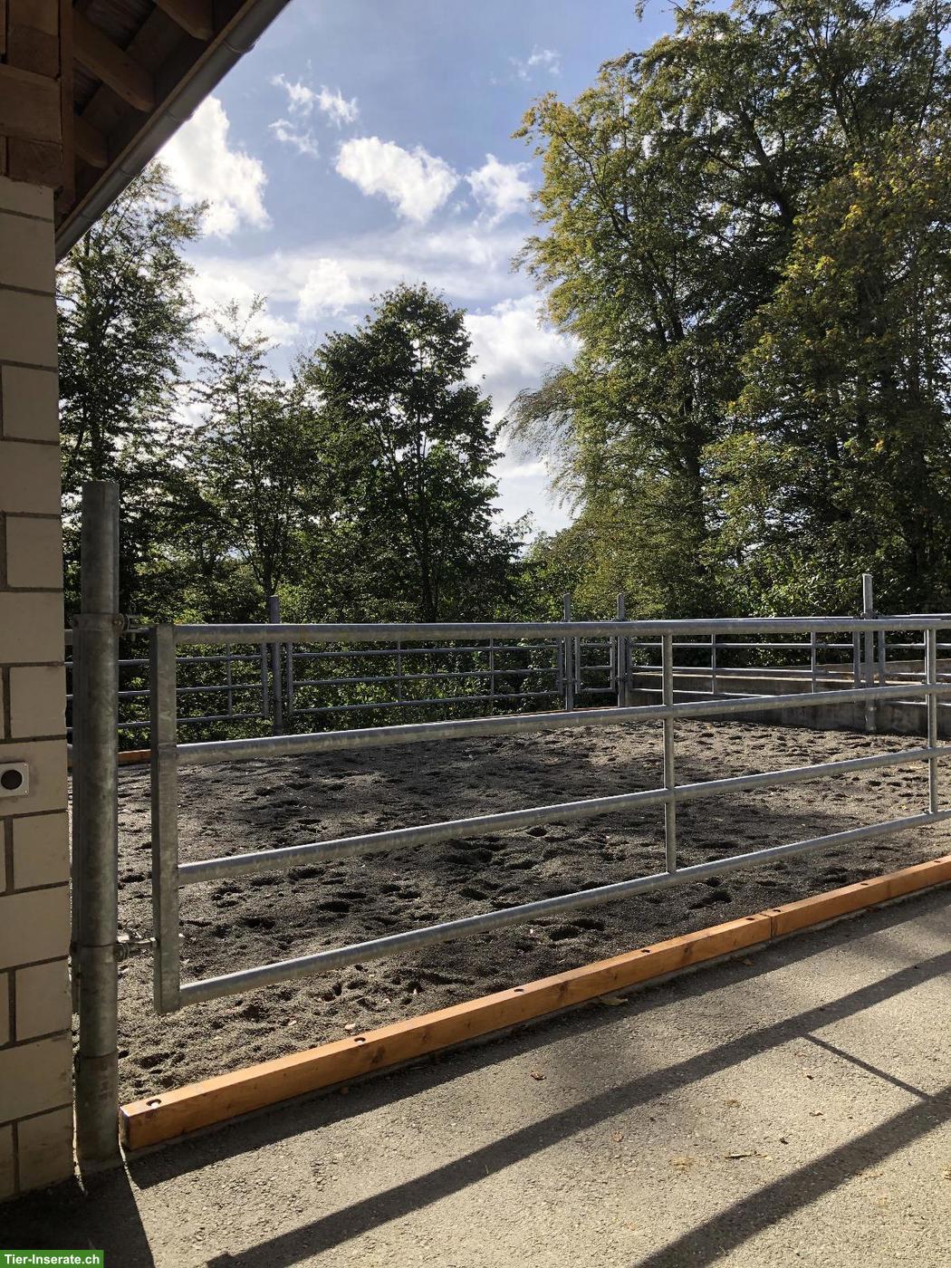 Bild 5: Stallteil mit Weide in Schlossrued AG
