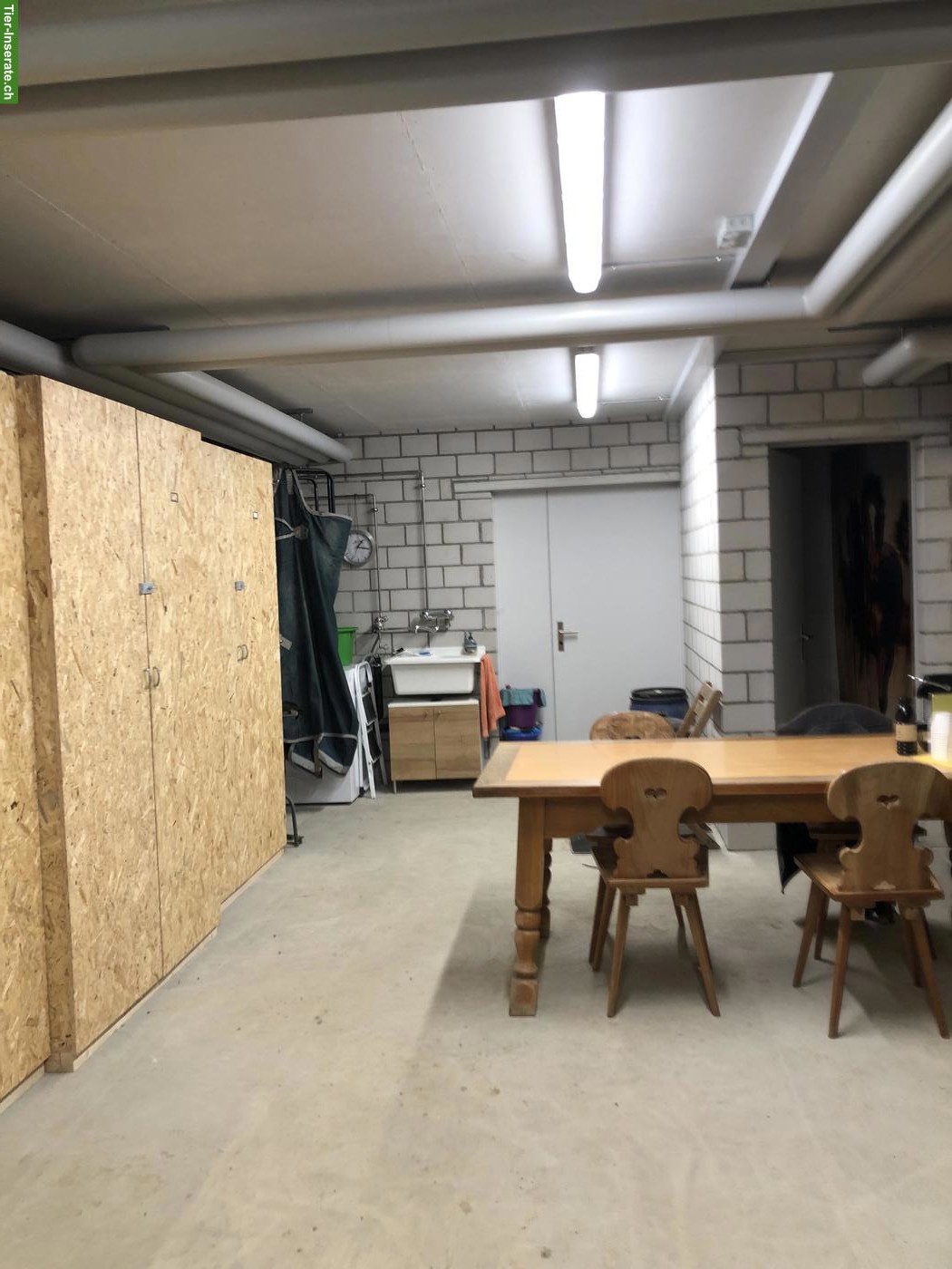 Bild 6: Stallteil mit Weide in Schlossrued AG
