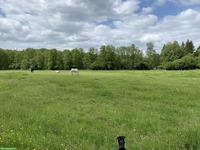 Weite Pferdeweide, Altersweide, 40 Min. von der Schweiz