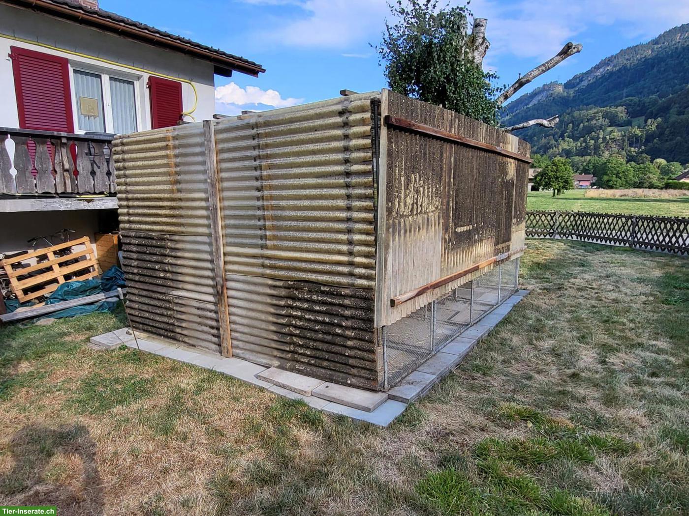 Bild 2: Aussenvoliere 12m³ zu verkaufen