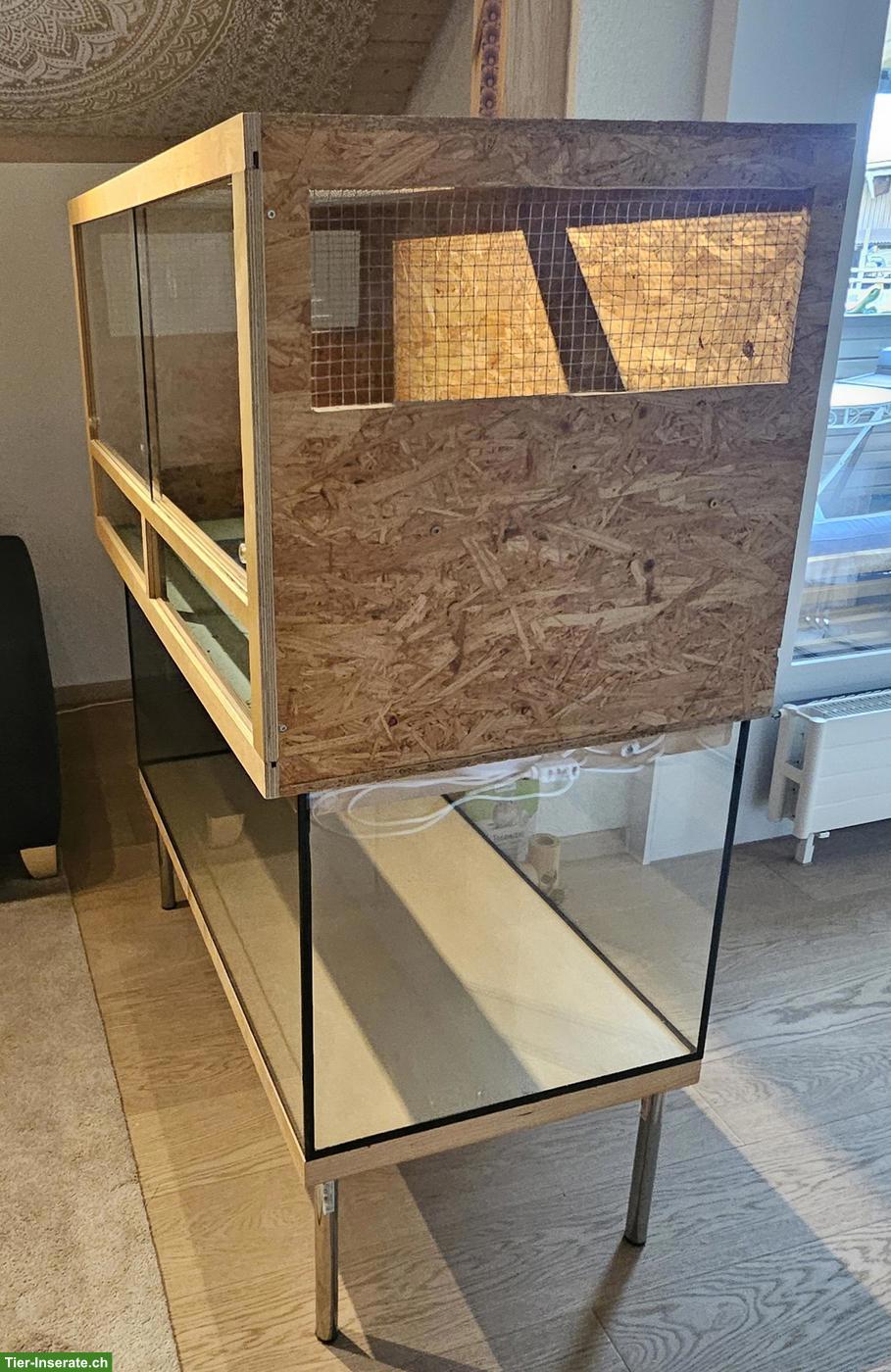 Bild 2: Rennmaus Terrarium mit Aufsatz zu verkaufen