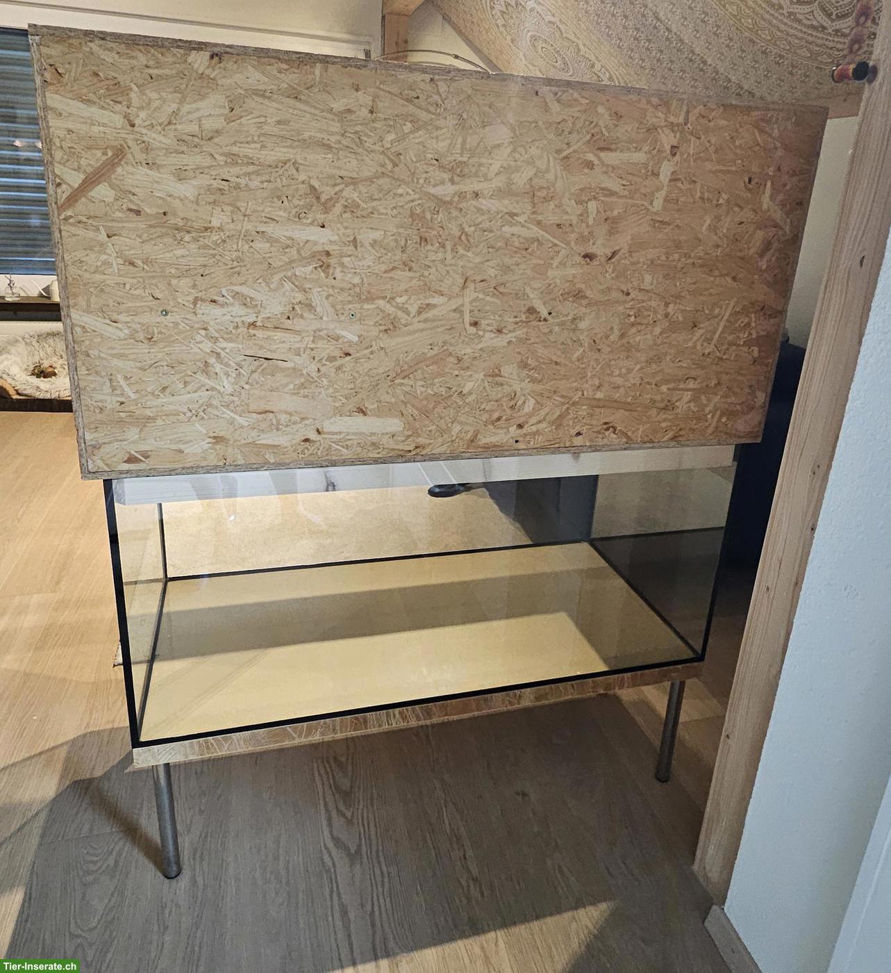 Bild 3: Rennmaus Terrarium mit Aufsatz zu verkaufen
