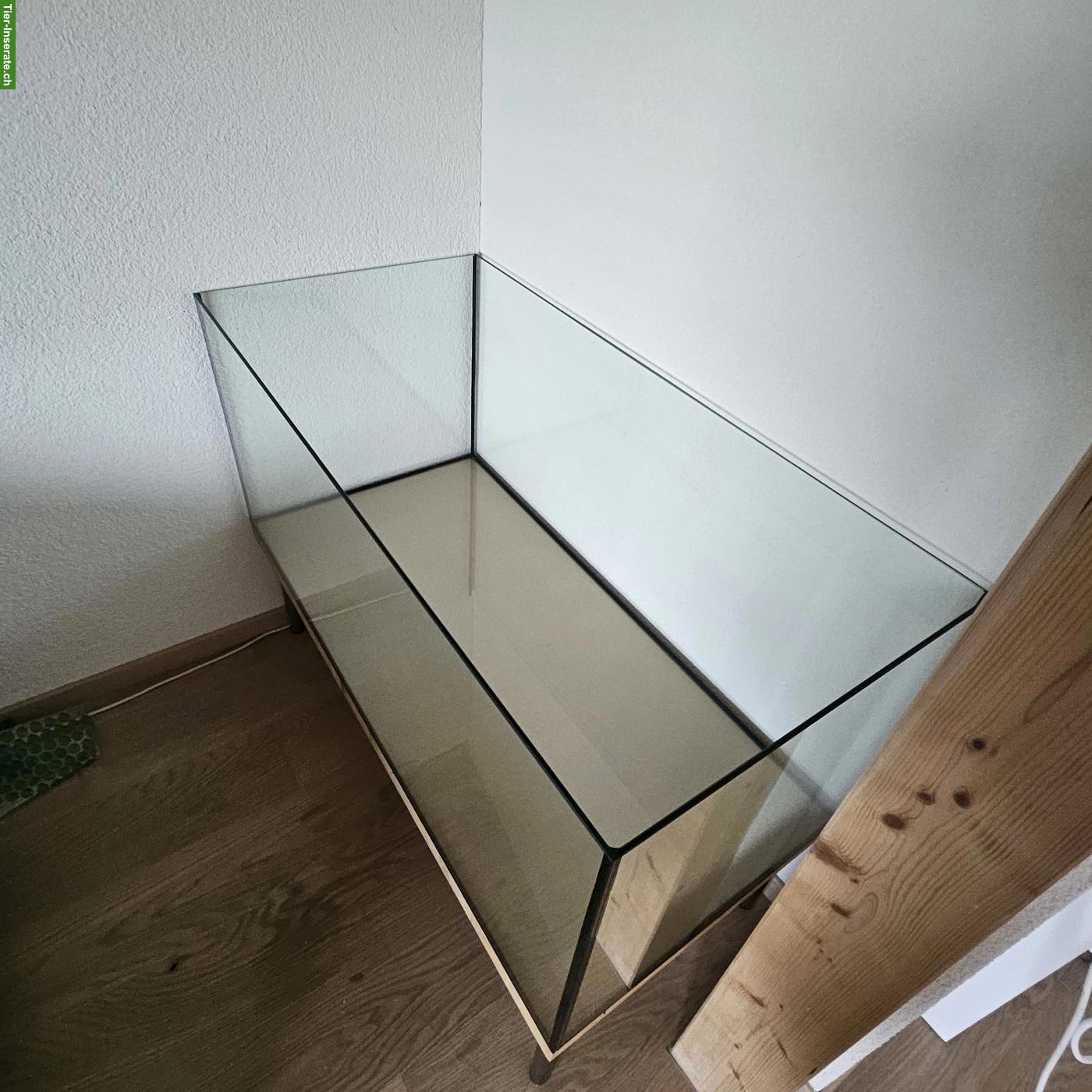 Bild 4: Rennmaus Terrarium mit Aufsatz zu verkaufen