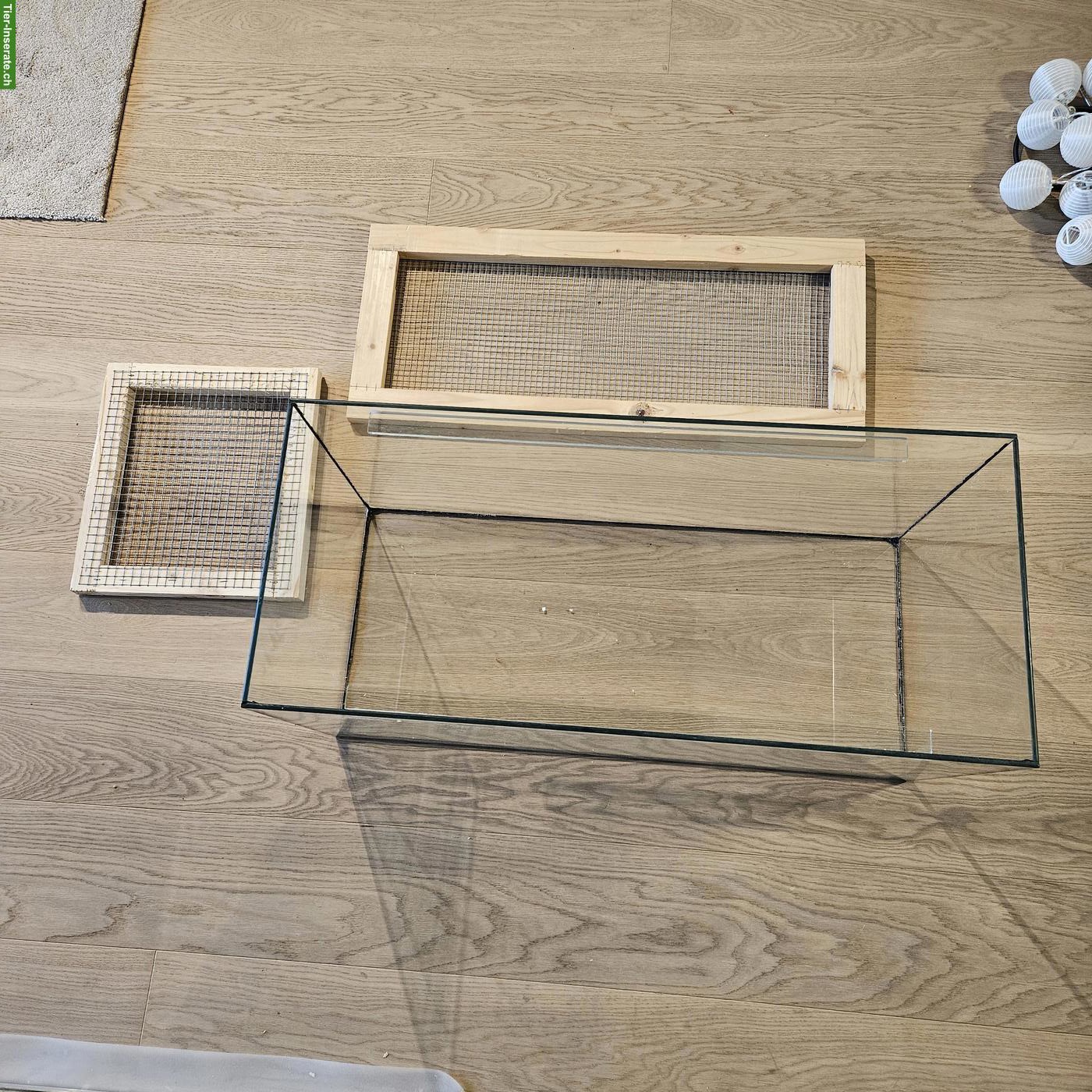 Bild 2: Vergesellschaftungs Terrarium zu verkaufen