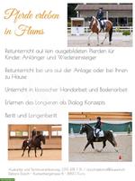 Der etwas andere Reitunterricht in Flums