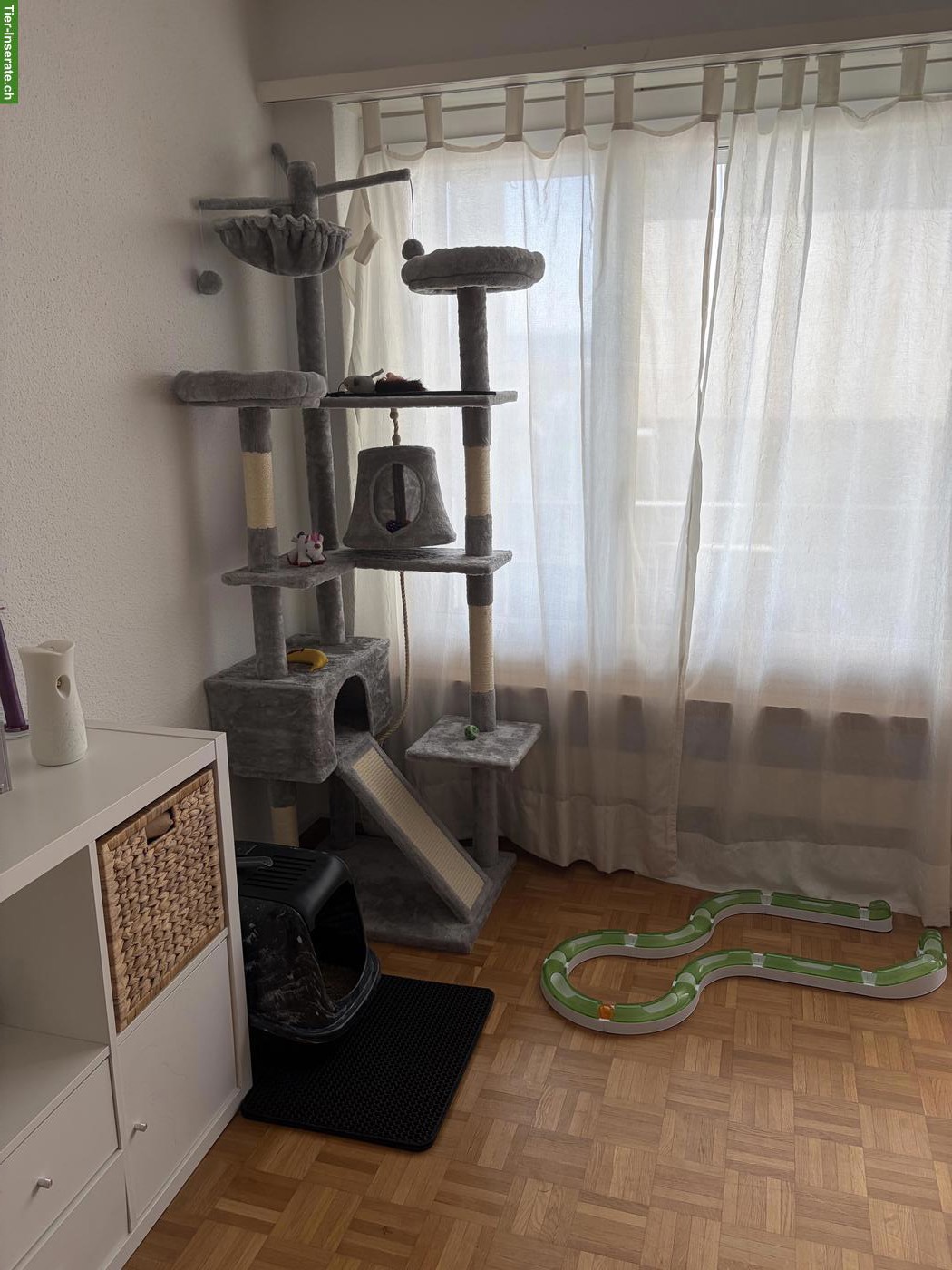 Katzenzubehör zu verkaufen