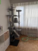 Katzenzubehör zu verkaufen